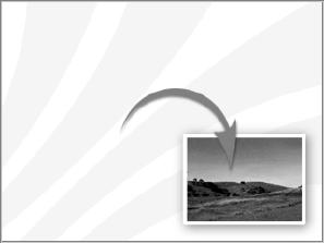 aka%202007039002.gif
